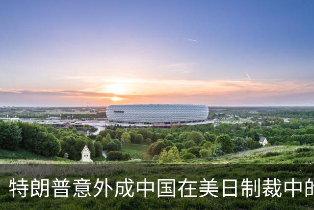 特朗普意外成中国在美日制裁中的“保护者